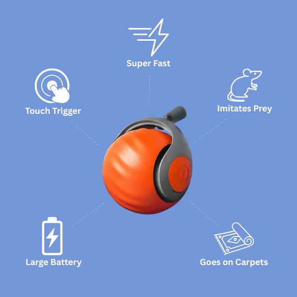 Speedy Tail Cat Toy