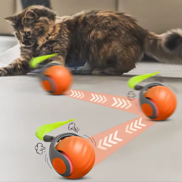 Speedy Tail Cat Toy
